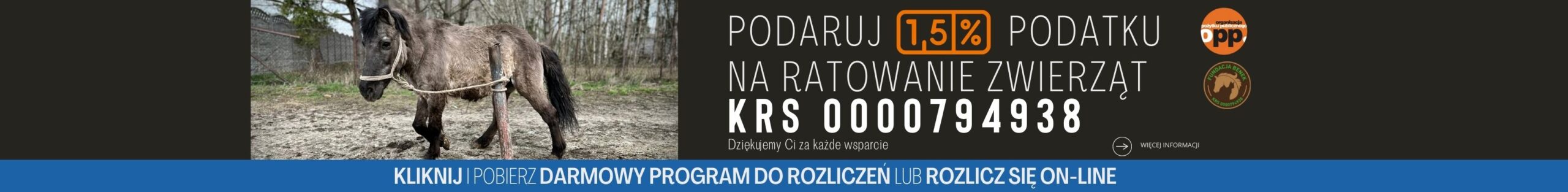 Mała Kasia – Fundacja Benek, ratujemy zwierzęta i pomagamy dzieciom od 2010  roku