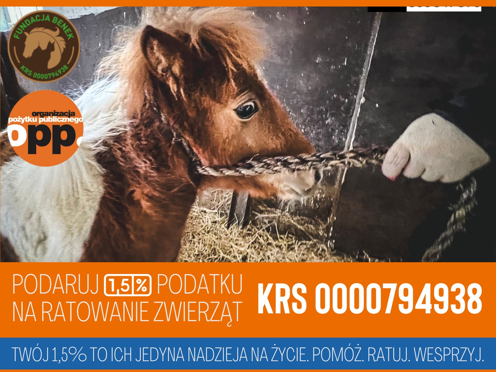 Bez tytułu (4288 x 2848 px) (3800 x 2600 px) (2048 x 1152 px) (1200×800 px) (Wpis na Facebooku) (1200×500 px) (1200×300 px) (1200×450 px) (1600 x 1200 px)(2)