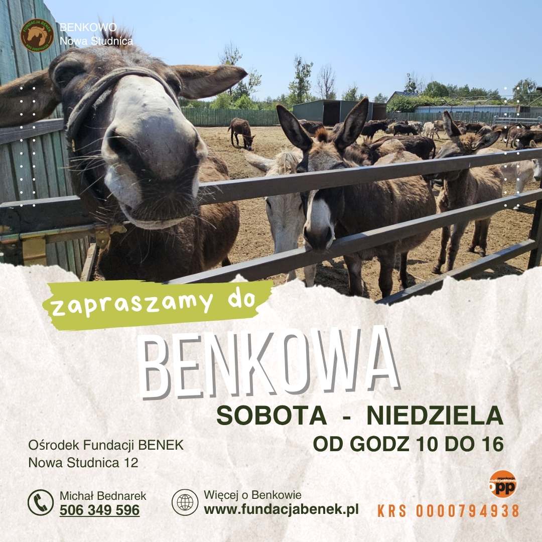 Benkowow