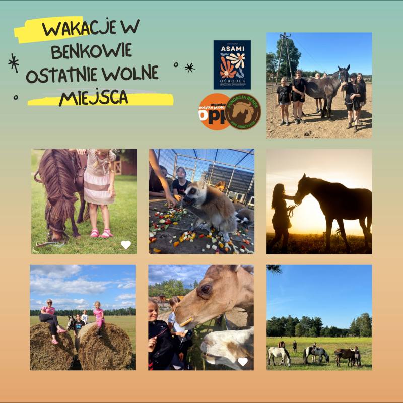 OBOZY W BENKOWIE