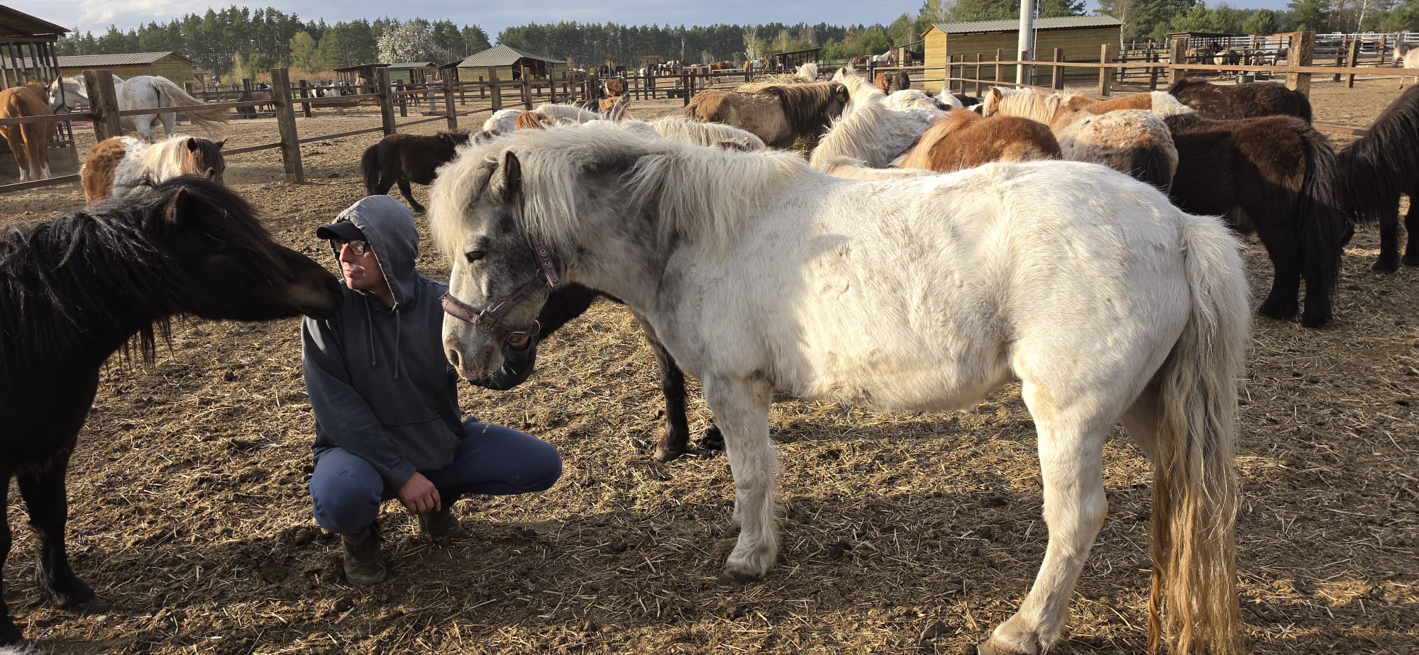 Marakuja kuc ochwat (3)
