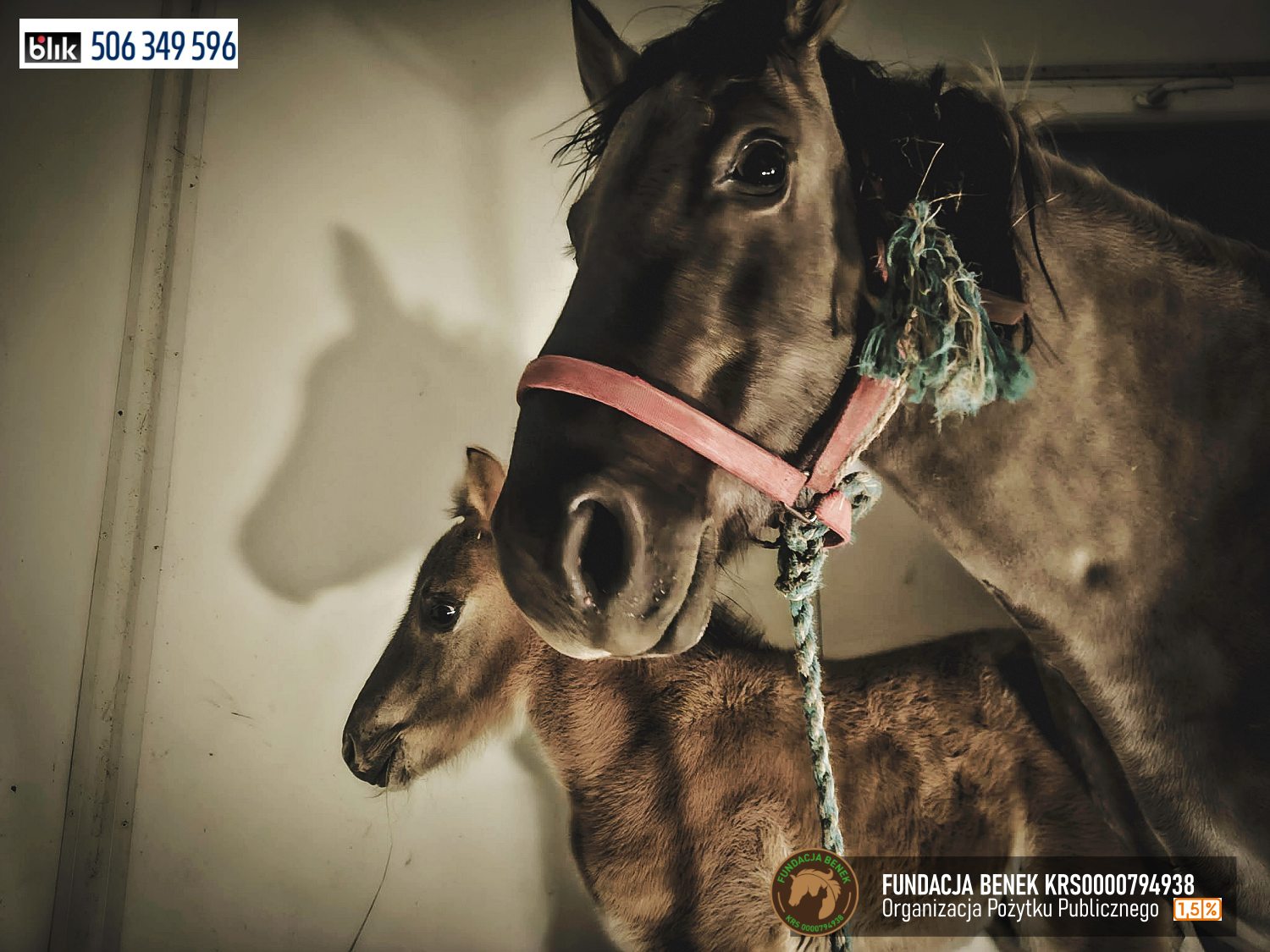 Matylda i Mroweczka (3)