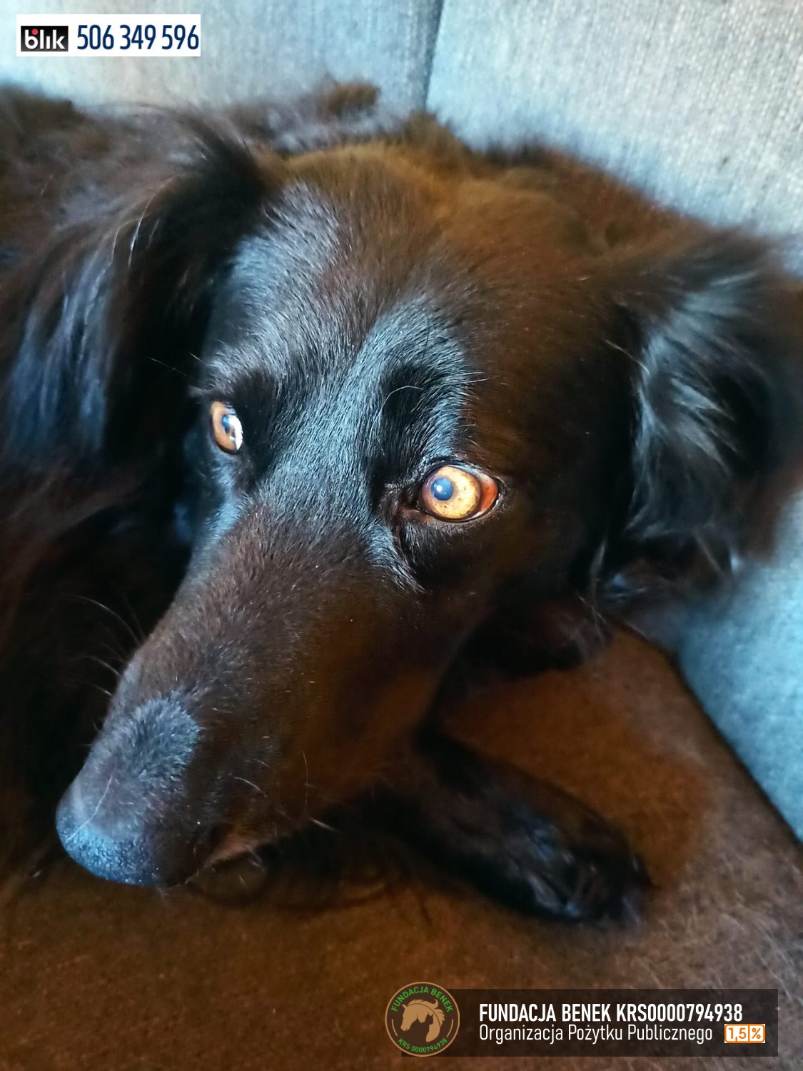 Kajtus (5)