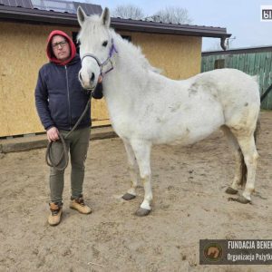 Bajka w Benkowie (2)