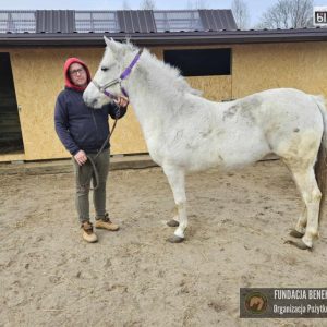 Bajka w Benkowie (4)