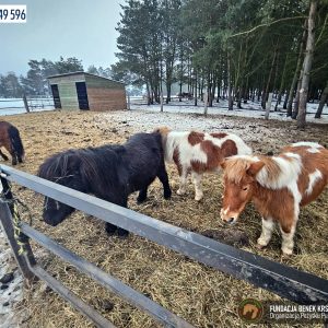 Całuska i Ciapka (5)
