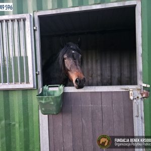 Horka w Benkowie (3)