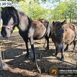 Jagodka i Burzyk (1)