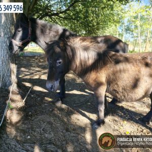 Jagodka i Burzyk (2)