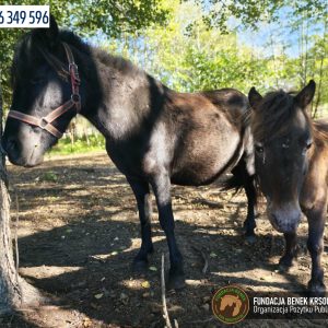 Jagodka i Burzyk (4)