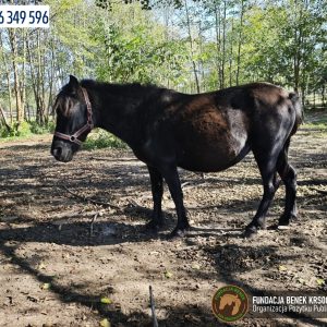 Jagodka i Burzyk (5)