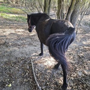 Jagodka i Burzyk (6)