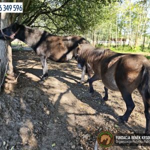 Jagodka i Burzyk (7)