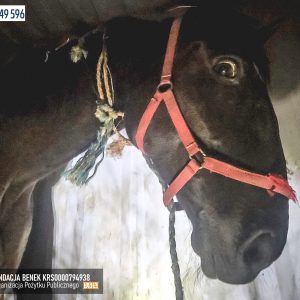 Jagusia_fundacja_Benek (1)