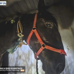 Jagusia_fundacja_Benek (2)