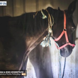 Jagusia_fundacja_Benek (3)