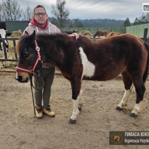 Jasia w Benkowie (1)