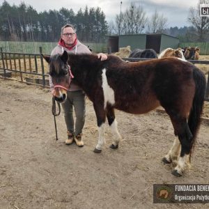 Jasia w Benkowie (3)