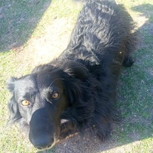 Kajtus (1)