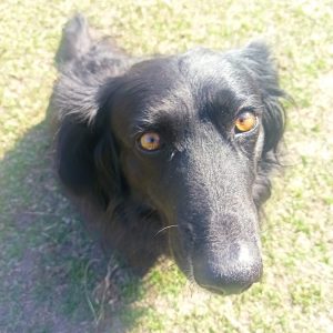Kajtus (4)