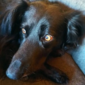 Kajtus (5)