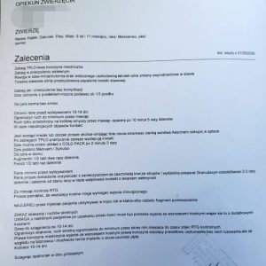 Kajtus po operacji (4)