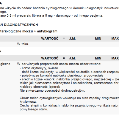 Kika opis wizyty (1)
