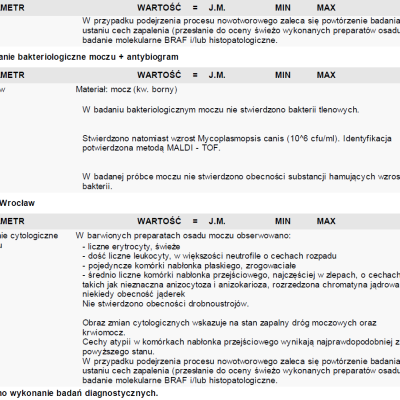 Kika opis wizyty (2)