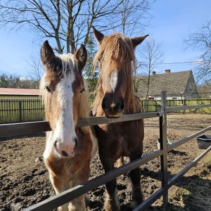 Łatek z mamą 3-24 (1)