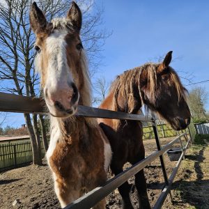 Łatek z mamą 3-24 (2)