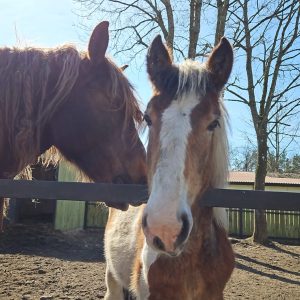 Łatek z mamą 3-24 (3)