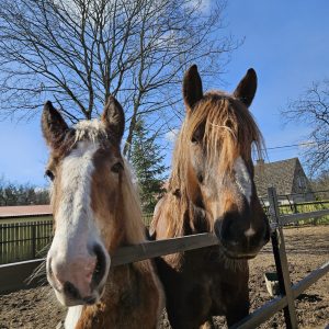 Łatek z mamą 3-24 (4)