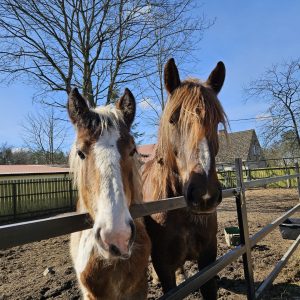 Łatek z mamą 3-24 (5)