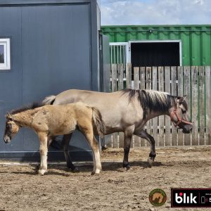 Makowka i Matylda KN (2)