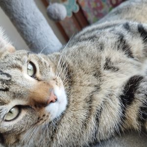 Max pozdrawia 8-24 (2)