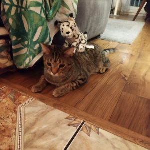 Max pozdrawia 8-24 (3)