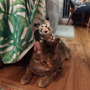 Max pozdrawia 8-24 (4)