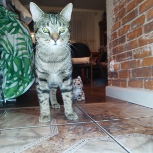 Max pozdrawia 8-24 (5)