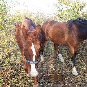 Nadzieja i Prometeusz 10-23 (1)