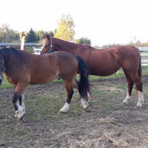 Nadzieja i Prometeusz 10-23 (10)