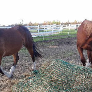 Nadzieja i Prometeusz 10-23 (11)