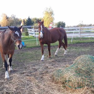 Nadzieja i Prometeusz 10-23 (2)