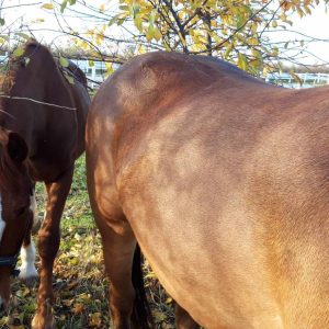 Nadzieja i Prometeusz 10-23 (3)