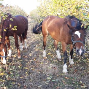 Nadzieja i Prometeusz 10-23 (4)