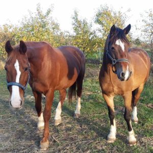 Nadzieja i Prometeusz 10-23 (5)