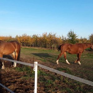 Nadzieja i Prometeusz 10-23 (6)