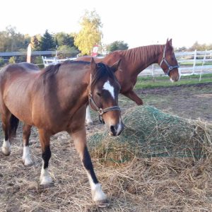 Nadzieja i Prometeusz 10-23 (7)