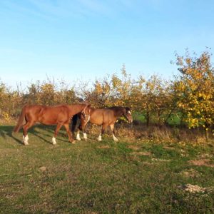 Nadzieja i Prometeusz 10-23 (8)