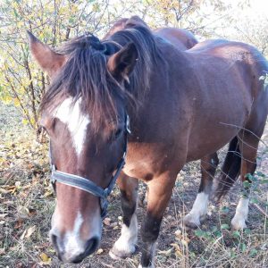 Nadzieja i Prometeusz 10-23 (9)