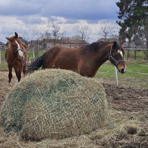 Nadzieja i Prometeusz 3-24 (1)